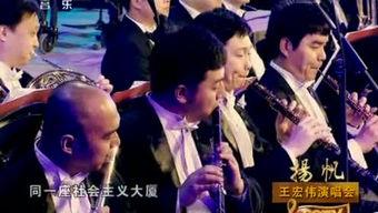 小虎爆料视频大全,揭秘娱乐圈幕后故事  第1张