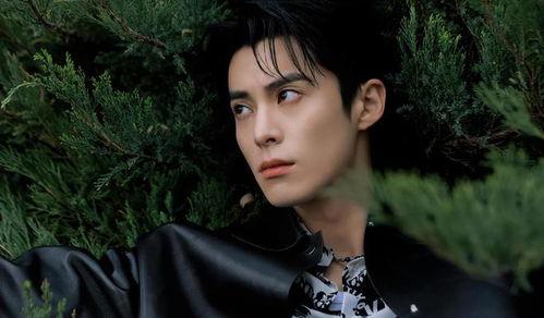 娱乐大爆料 王鹤棣视频,娱乐大爆料揭秘幕后故事  第1张